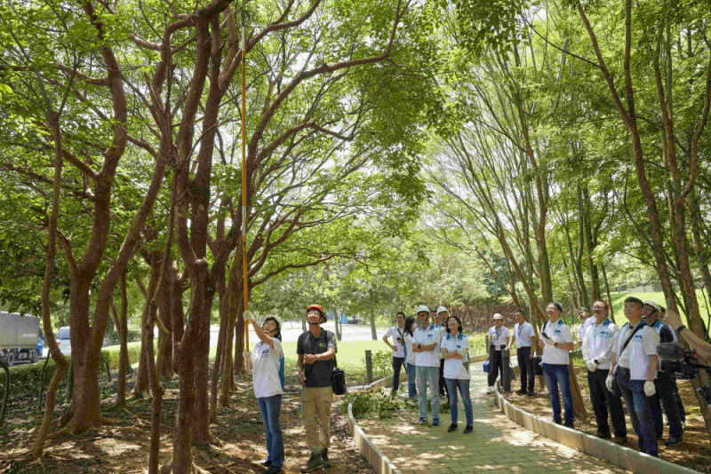 藝師教導大家認識樹木、檢查樹的健康狀況，學習修枝及碎枝覆土