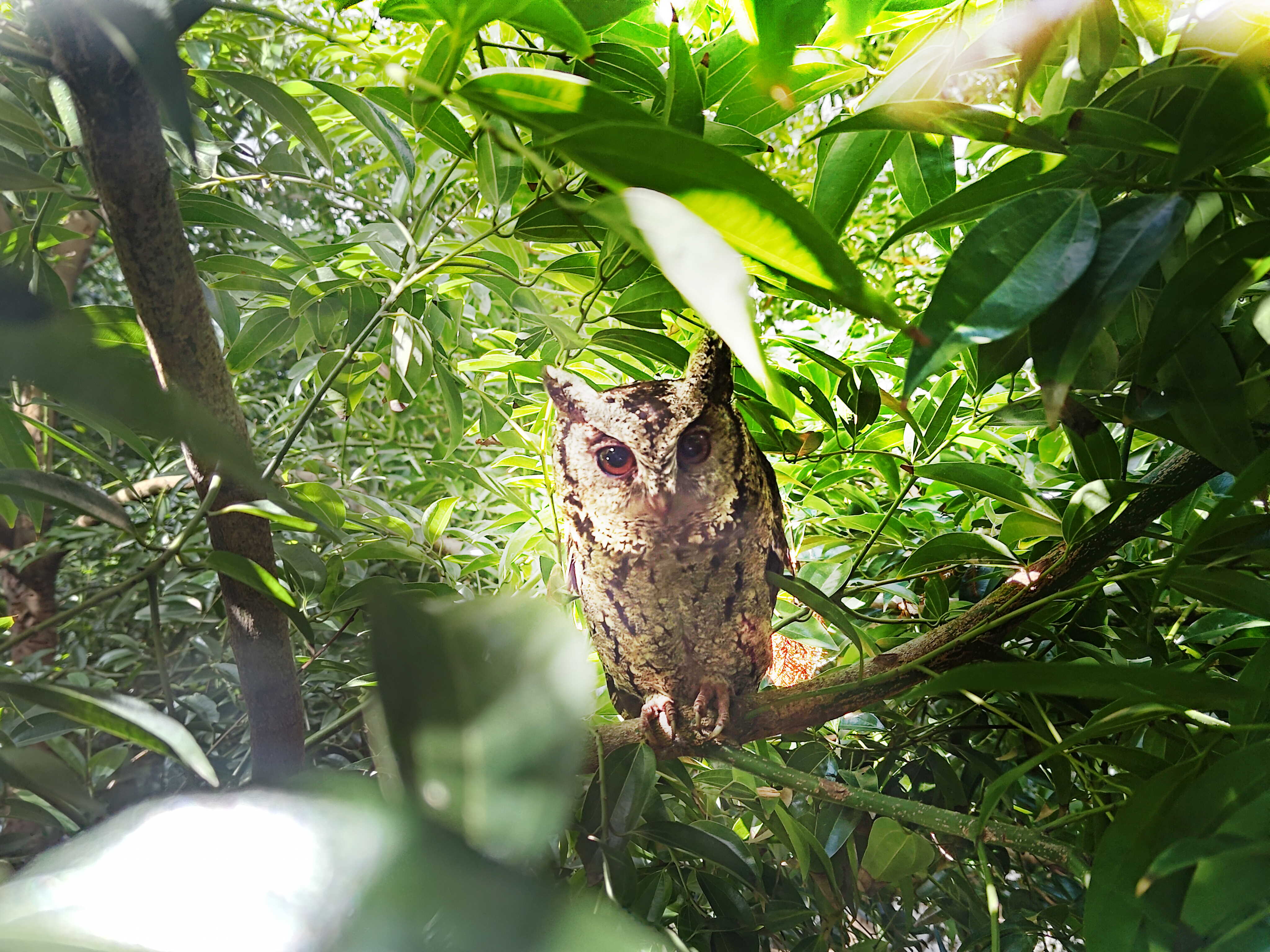 beats365致力提倡净零绿生活，16年以来在全球各厂区植树逾百万棵，造就各厂区树木蔚然成林，犹如森林工厂，成为许多生物的栖息地